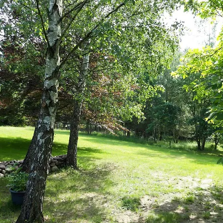 Powrócisz Tu... Sorkwity