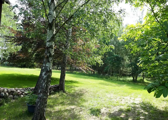 Powrócisz Tu... Sorkwity